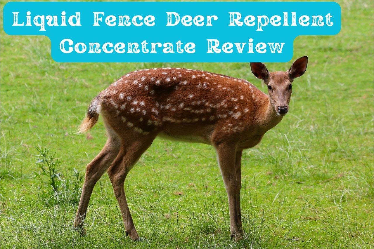 Liquid Fence Deer Repellent Concentrate Review