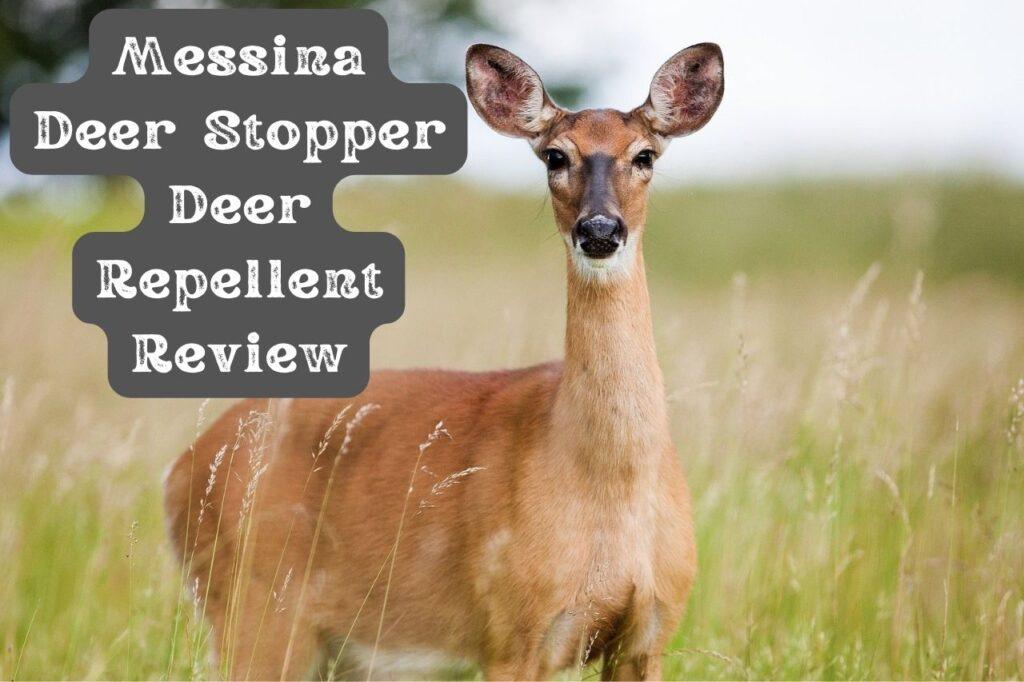Messina Deer Stopper Deer Repellent Review: A Fantastic Deer Repellent ...