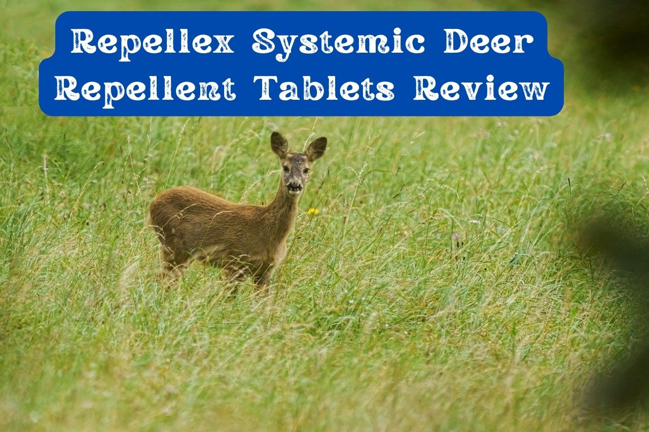 Repellex Systemic Deer Repellent Tablets Review