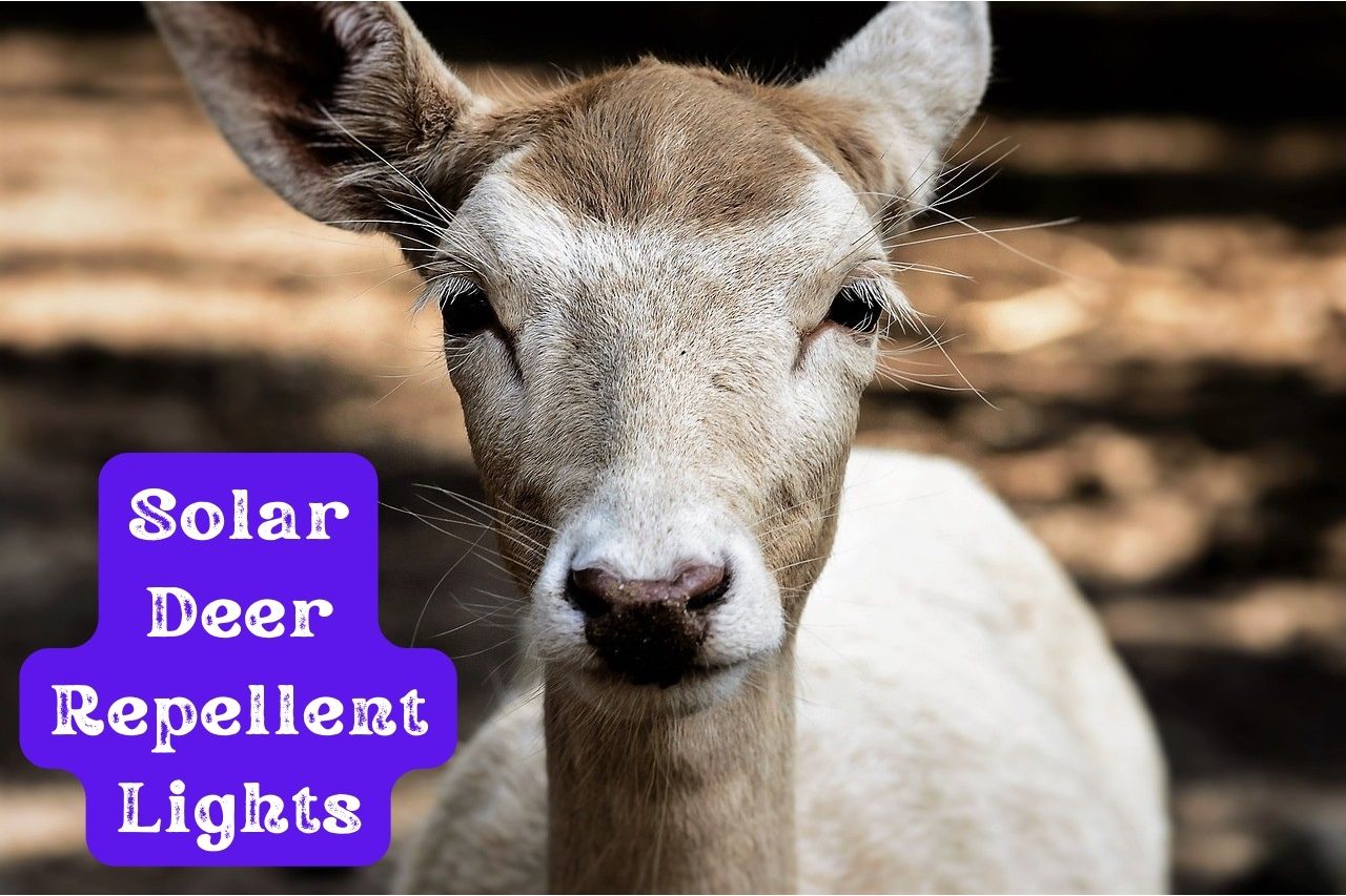 Solar Deer Repellent Lights