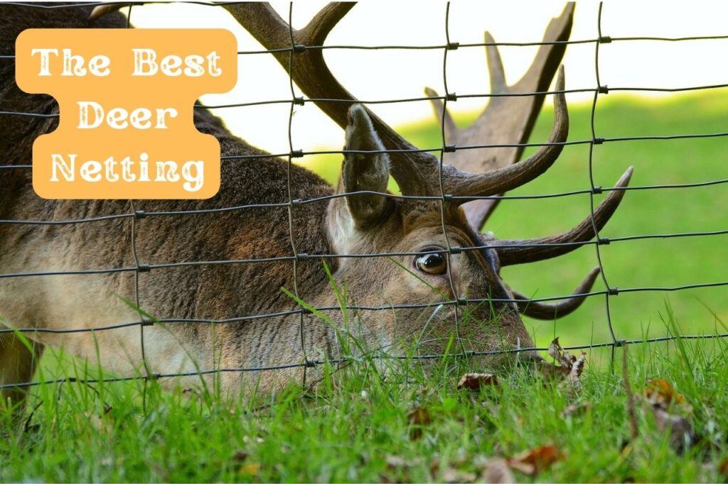 The Best Deer Netting for Gardens Stop Deer from Eating Plants