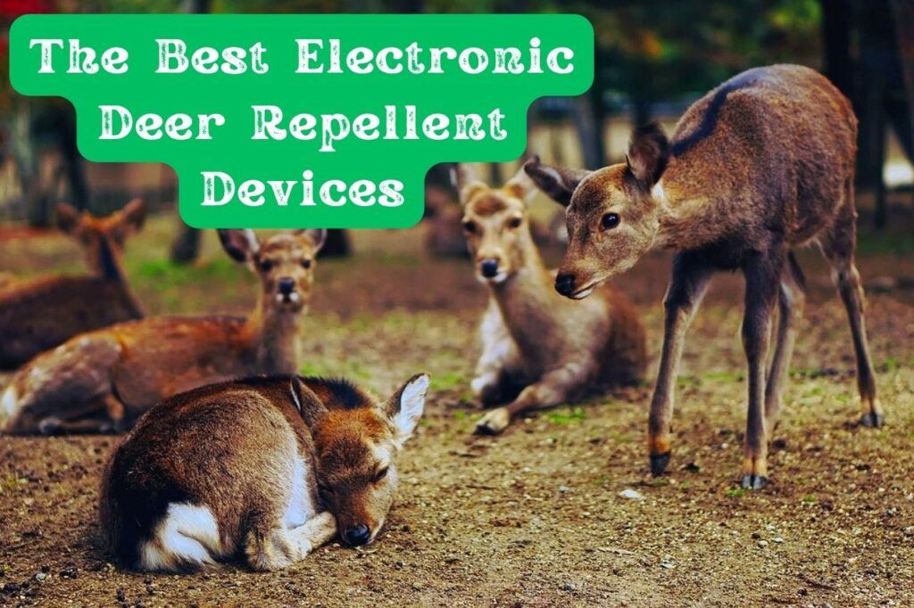 Electronic Deer Repellents That Work The Best Electronic Deer Repellent Devices! Dealing With