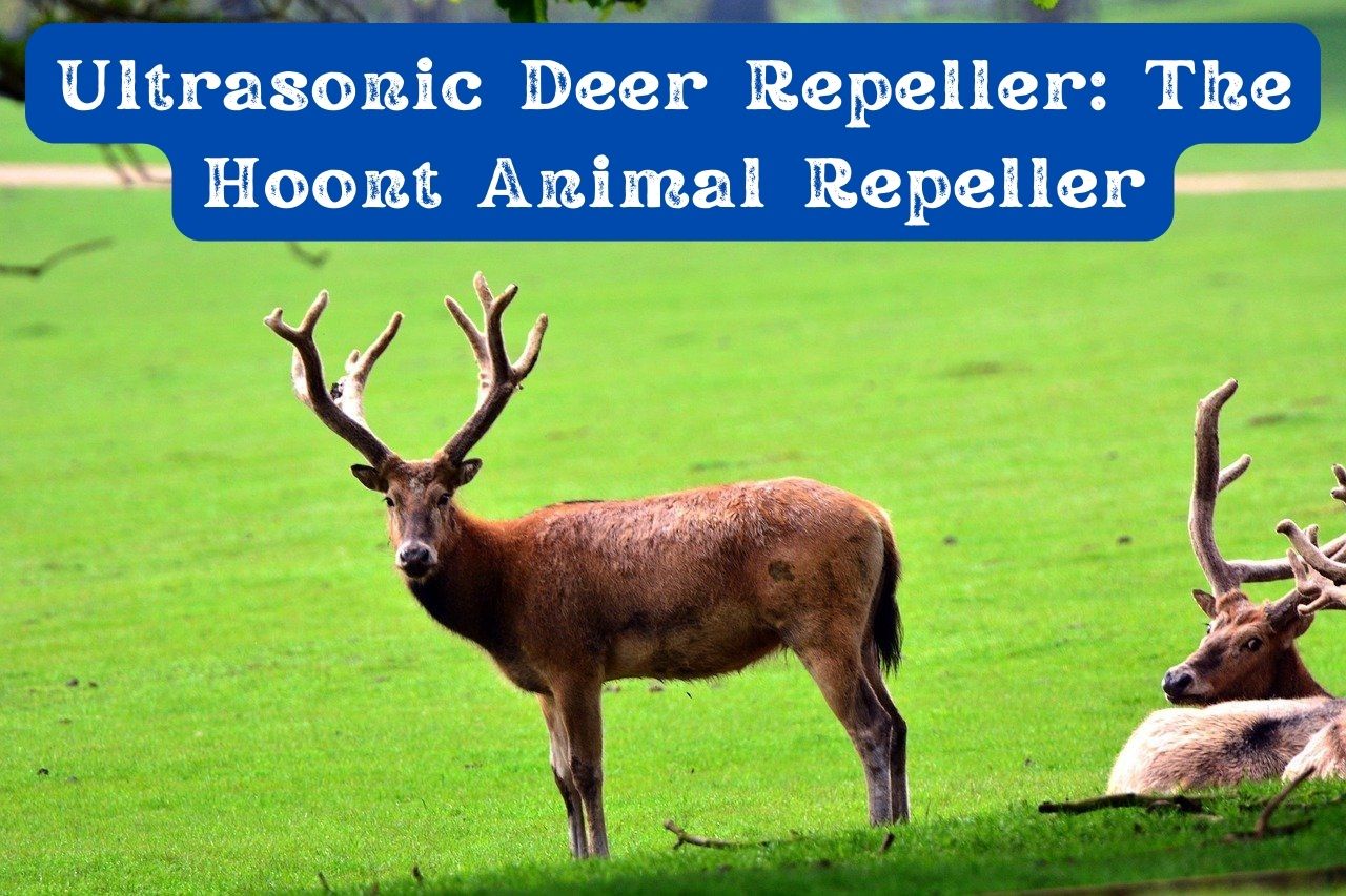 Ultrasonic Deer Repeller The Hoont Animal Repeller