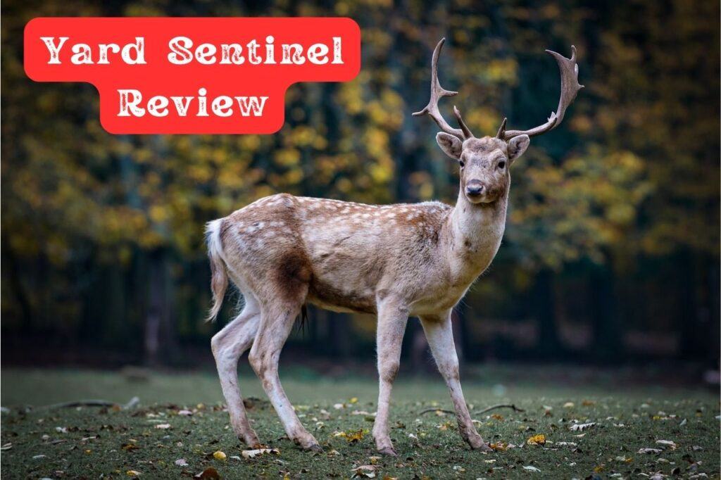 Yard Sentinel Review The Best Ultrasonic Deer Repellent! Dealing